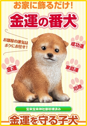 金運を守る子犬