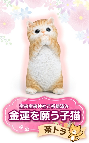 金運を願う子猫（茶トラ）1