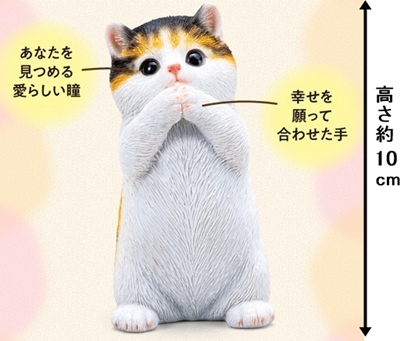 金運を願う子猫